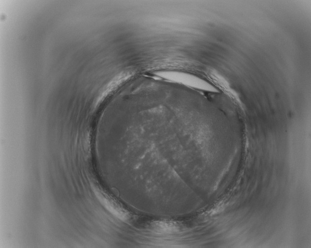 X0000087320250200705041721