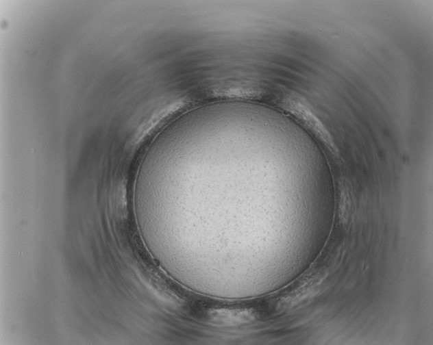 X0000087320251200705041721