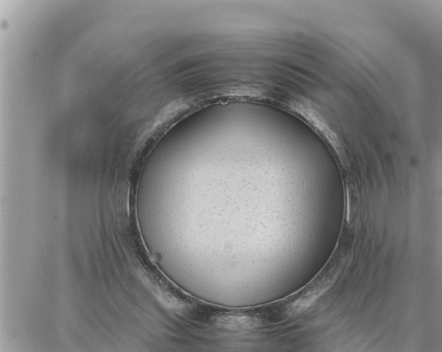 X0000087320253200705041721