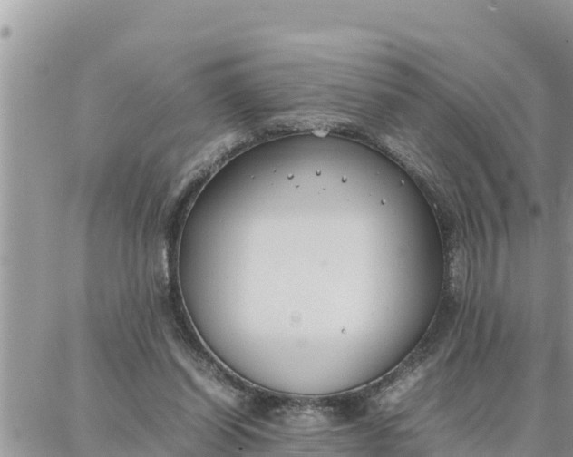 X0000087320254200705041722