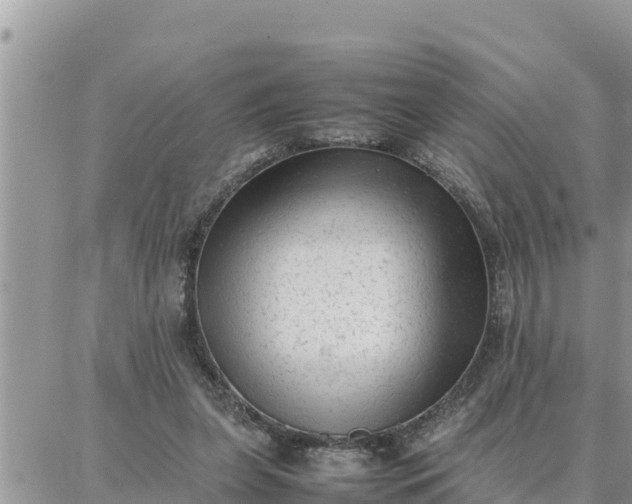 X0000087320255200705041722