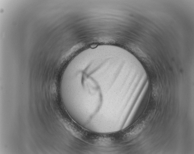 X0000087320256200705041722