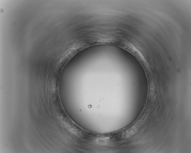 X0000087320257200705041722