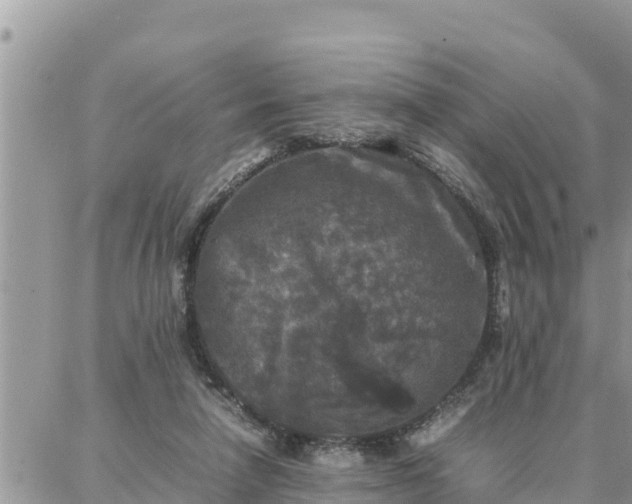 X0000087320258200705041722