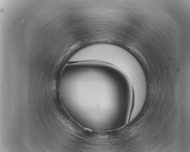 X0000087320260200705041722