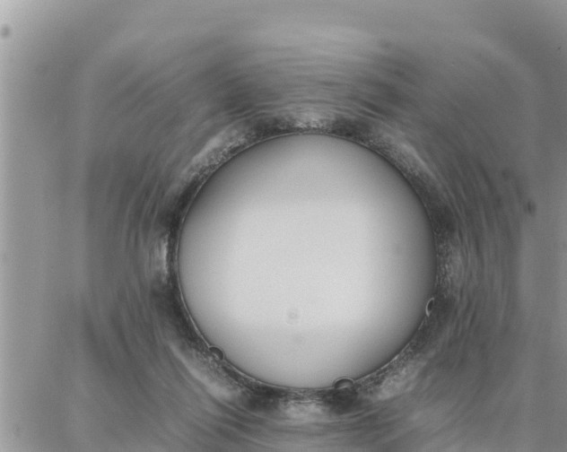 X0000087320262200705041722