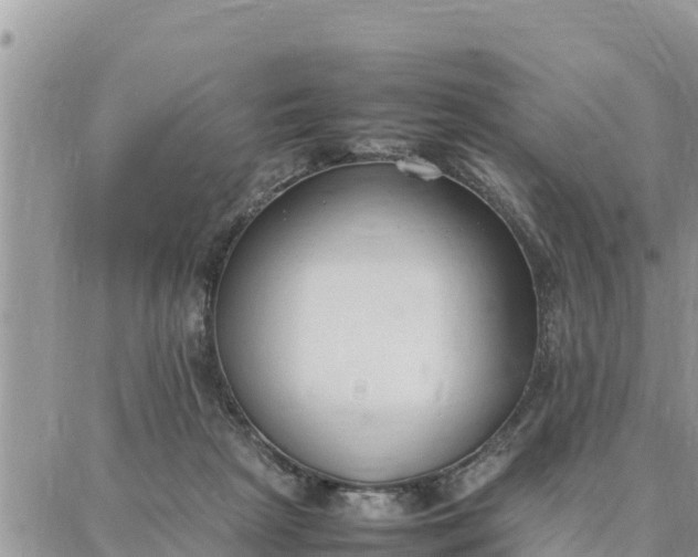 X0000087320265200705041722