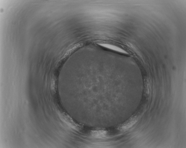 X0000087320266200705041722