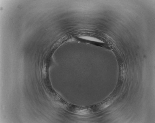 X0000087320267200705041722