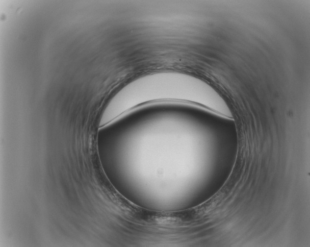 X0000087320268200705041722