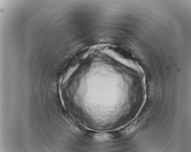 X0000087320269200705041722