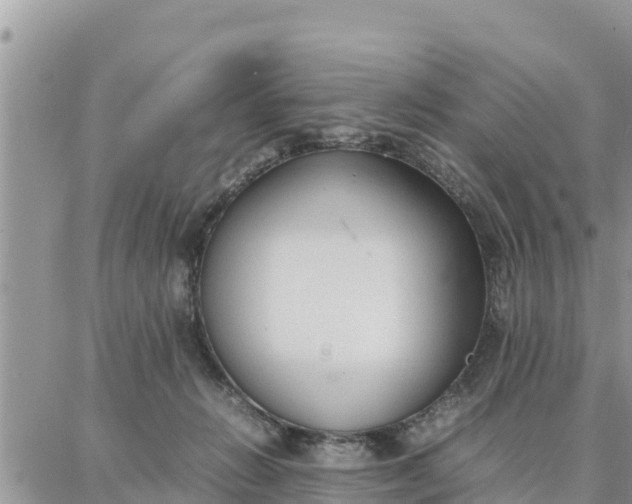 X0000087320270200705041722