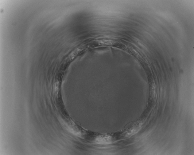 X0000087320271200705041722