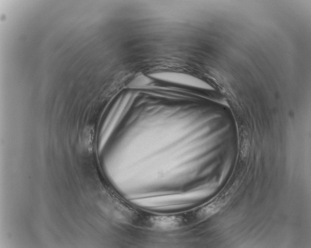 X0000087320273200705041722