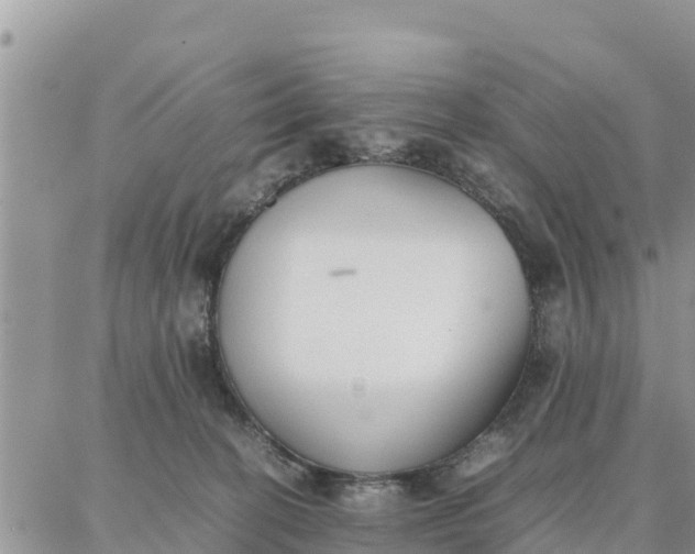 X0000087320274200705041722