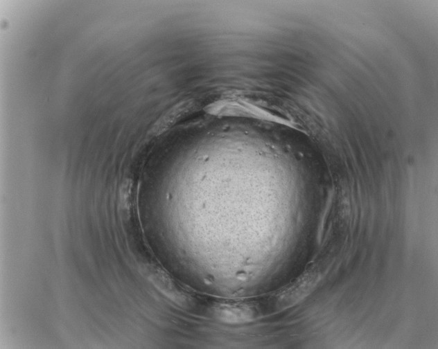 X0000087320275200705041722