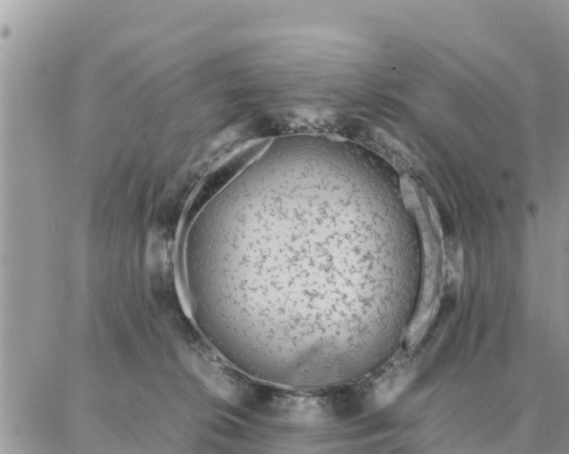 X0000087320276200705041722