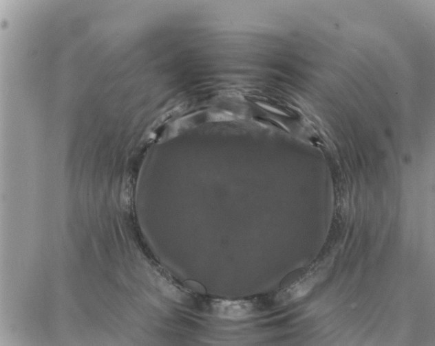 X0000087320277200705041722