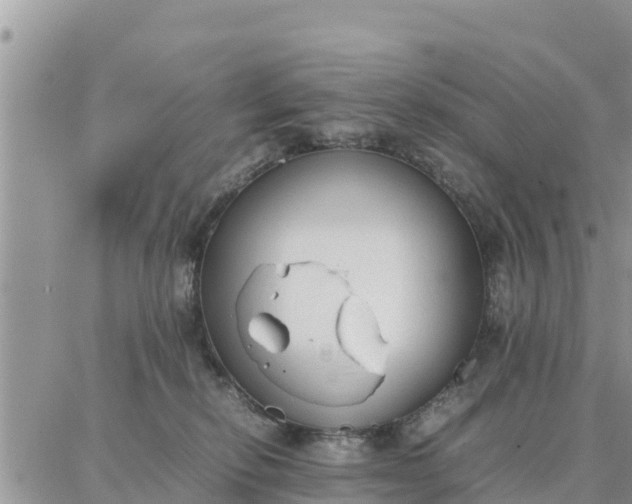 X0000087320278200705041722