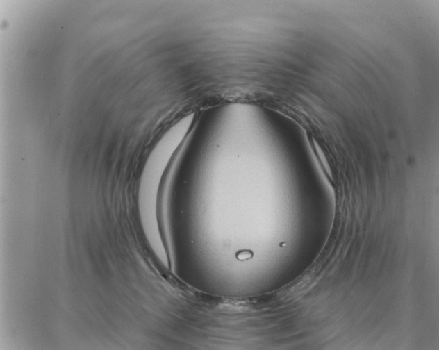 X0000087320280200705041722