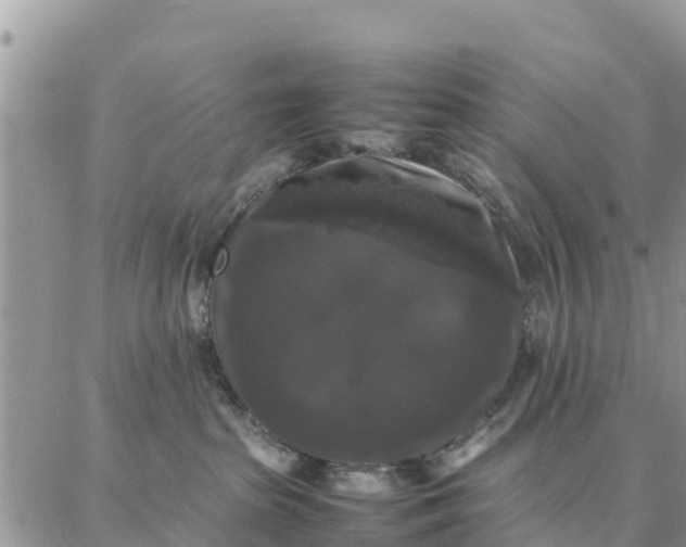 X0000087320285200705041722