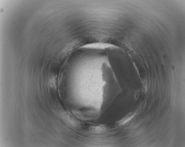 X0000087320286200705041722