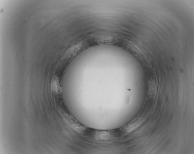 X0000087320287200705041722