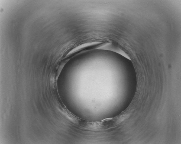 X0000087320288200705041722