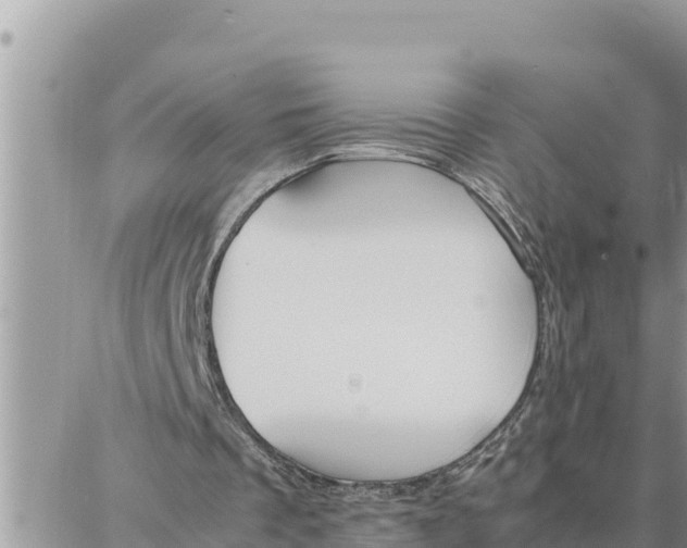 X0000087320289200705041721