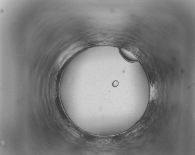 X0000087320291200705041721