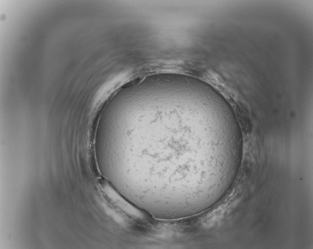 X0000087320293200705041721