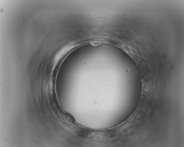 X0000087320294200705041721