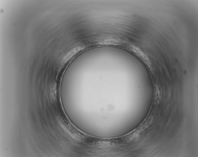 X0000087320298200705041721