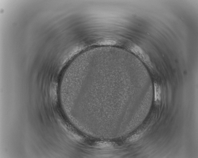 X0000087320300200705041721