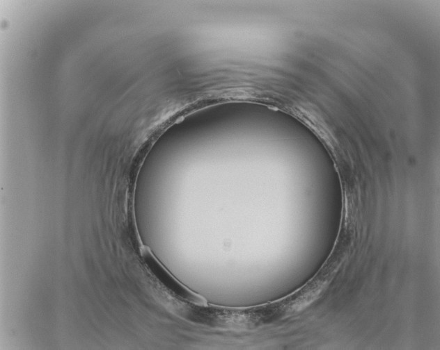 X0000087320301200705041721