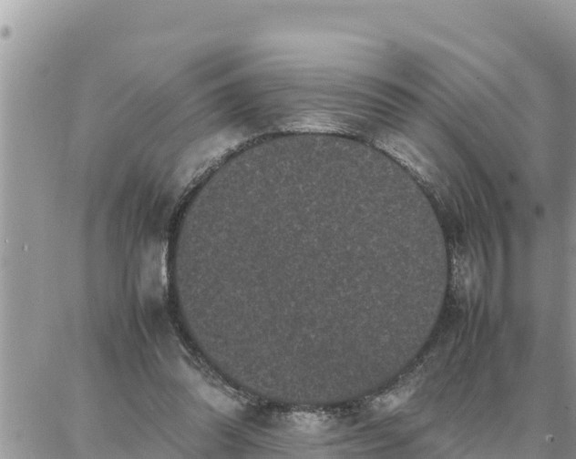 X0000087320302200705041721