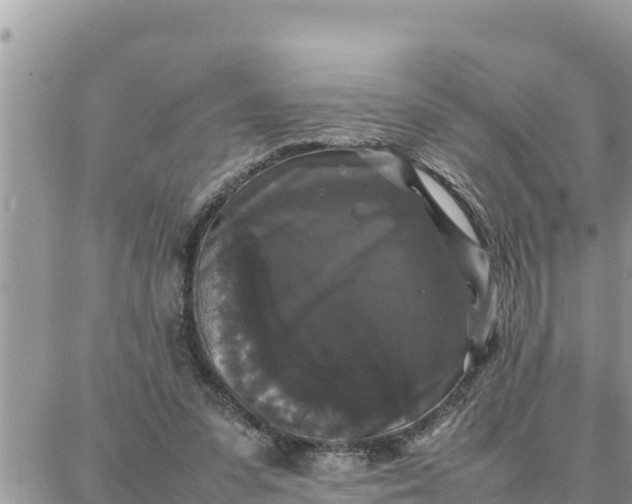 X0000087320303200705041721