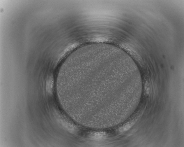 X0000087320304200705041721