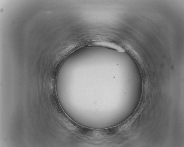 X0000087320305200705041721