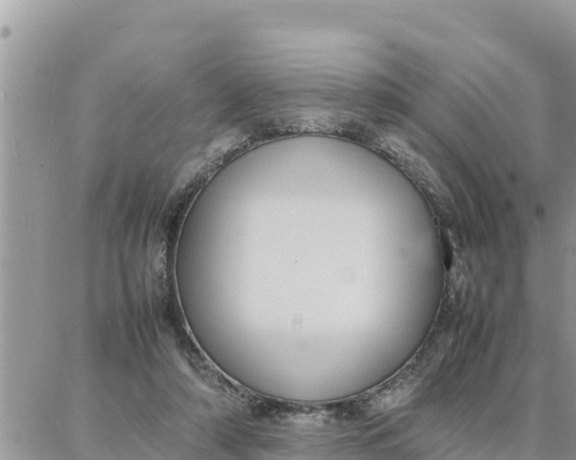 X0000087320306200705041721