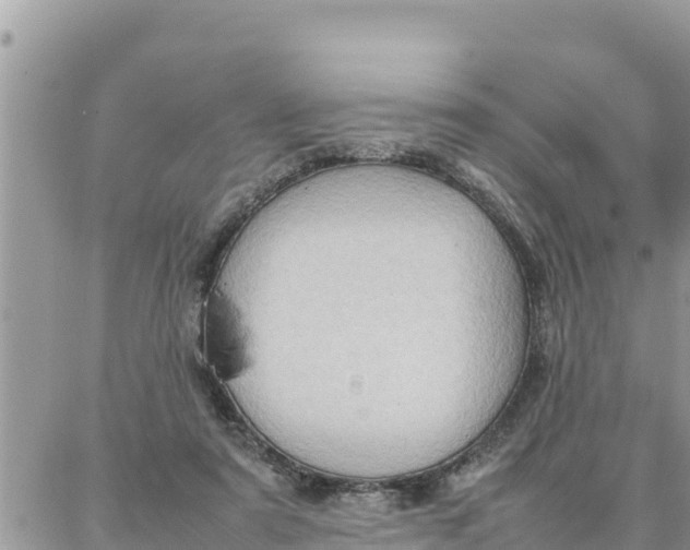 X0000087320307200705041721