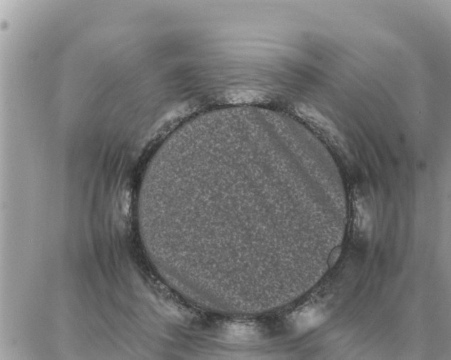 X0000087320308200705041721