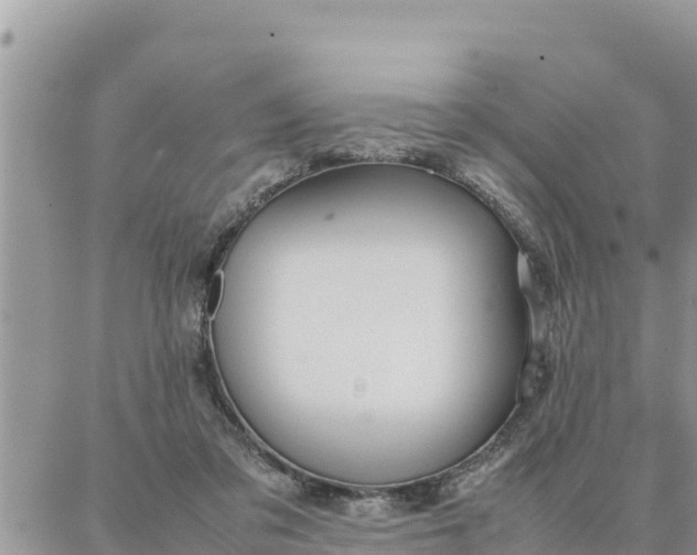 X0000087320309200705041721