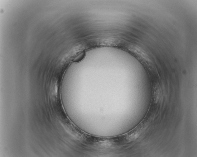 X0000087320310200705041721