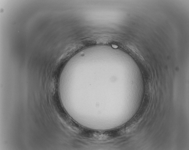 X0000087320311200705041721