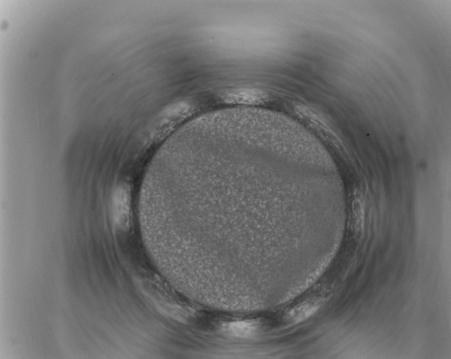 X0000087320312200705041721