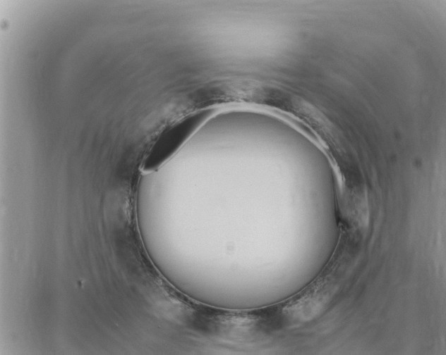 X0000087320313200705041721