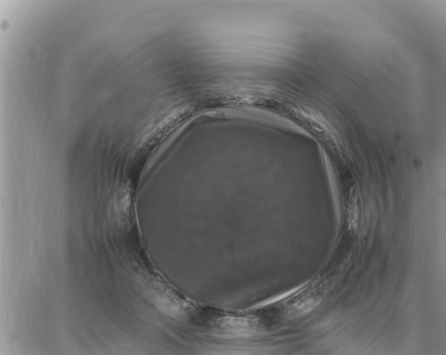 X0000087320314200705041721