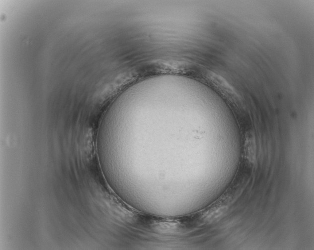 X0000087320318200705041721