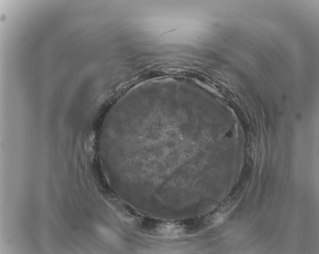 X0000087320319200705041721